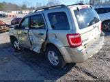 Ford Escape Xlt 1FMCU0DG2BKA93101 fotografie