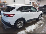 Ford Escape Active 1FMCU0GN9SUA42726 fotografie