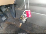 Miniaturka zdjęcia 11