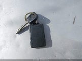 Miniaturka zdjęcia 11