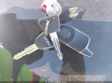 Miniaturka zdjęcia 11