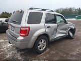 Ford Escape Xlt 1FMCU9DG6BKA61028 снимка