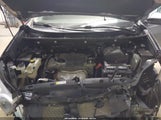 Toyota Rav4 Xle 2T3RFREV0JW752809 снимка