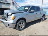 Ford F-150 Xlt 1FTFW1EF2BKD94457 снимка