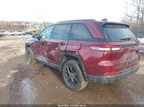 Jeep Grand Cherokee Altitude X 4X4 1C4RJHAG8SC295221 fotografie
