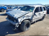 Jeep Grand Cherokee Laredo 1J4GZ58S2TC344644 fotografie