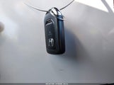 Miniaturka zdjęcia 11