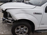 Ford F-150 Xlt 1FTEX1CP7FFA69371 снимка
