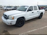 Dodge Dakota Slt 1D7HE48N96S588561 снимка