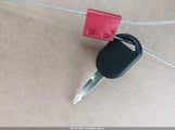 Miniaturka zdjęcia 11