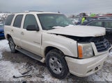 Cadillac Escalade Standard 1GYEK63N43R121148 снимка