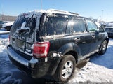Ford Escape Xlt 1FMCU93188KB67289 снимка