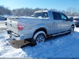 Ford F-150 Xlt 1FTFW1ET4BFC19433 снимка