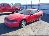 Ford Mustang 1FAFP40484F119021 fotografie