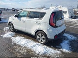 Miniaturka zdjęcia 3