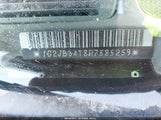 Miniaturka zdjęcia 9