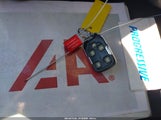 Miniaturka zdjęcia 11