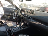 Miniaturka zdjęcia 5