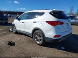 Hyundai Santa Fe Sport 2.4L 5NMZUDLB4HH041534 fotografie