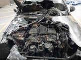Miniaturka zdjęcia 10