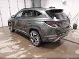 Hyundai Tucson Limited 5NMJECAE4PH183933 снимка