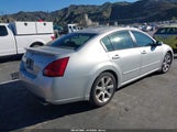 Nissan Maxima 3.5 Se 1N4BA41E87C820266 снимка