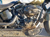 Harley-Davidson Flss 1HD1JS915HB035561 photo