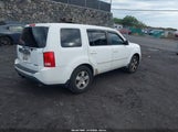 Miniaturka zdjęcia 4