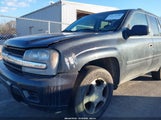 Chevrolet Trailblazer Ls 1GNDT13S962357483 снимка