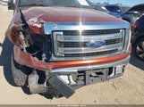 Ford F-150 Xlt 1FTEW1CM9EKE19873 снимка