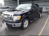 Ford F-150 King Ranch/Lariat/Platinum/Xl/Xlt 1FTPW12V99KC62726 снимка