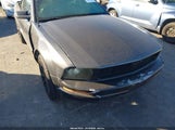Ford Mustang V6 Deluxe/V6 Premium 1ZVFT84N975312639 fotografie