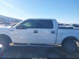 Ford F-150 Xlt 1FTFW1ET3EKE68866 снимка