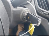 Miniaturka zdjęcia 11