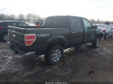 Ford F-150 Xlt 1FTFW1ET9EKF02213 снимка