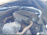 Toyota Tacoma Prerunner V6 5TFJU4GN3EX060998 photo