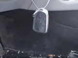 Miniaturka zdjęcia 11