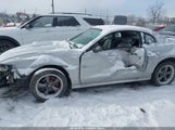 Ford Mustang Gt 1FAFP42X53F384503 снимка