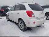 Miniaturka zdjęcia 3