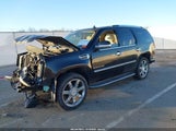 Miniaturka zdjęcia 2