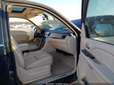 Miniaturka zdjęcia 5