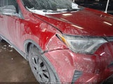 Toyota Rav4 Le 2T3ZFREV9GW286936 снимка