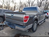 Ford F-150 Xlt 1FTFW1EF1BFA42057 снимка