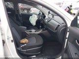 Miniaturka zdjęcia 5