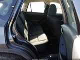 Miniaturka zdjęcia 8