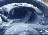 Kia Forte Lxs 3KPF24AD2RE772498 снимка