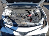 Toyota Camry L/Le/Xle/Se/Xse 4T1B11HK4JU108113 fotografie