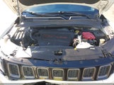 Jeep Compass Trailhawk 4X4 3C4NJDDBXKT723219 снимка