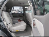 Miniaturka zdjęcia 8