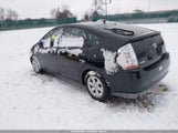Miniaturka zdjęcia 3